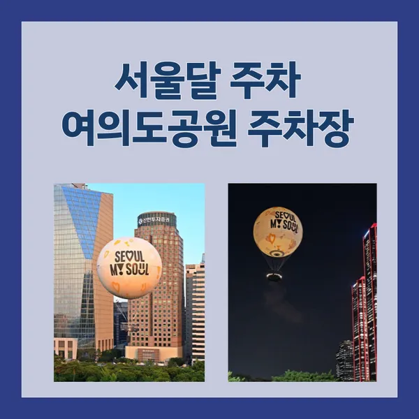 서울의달 열기구 여의도공원 주차