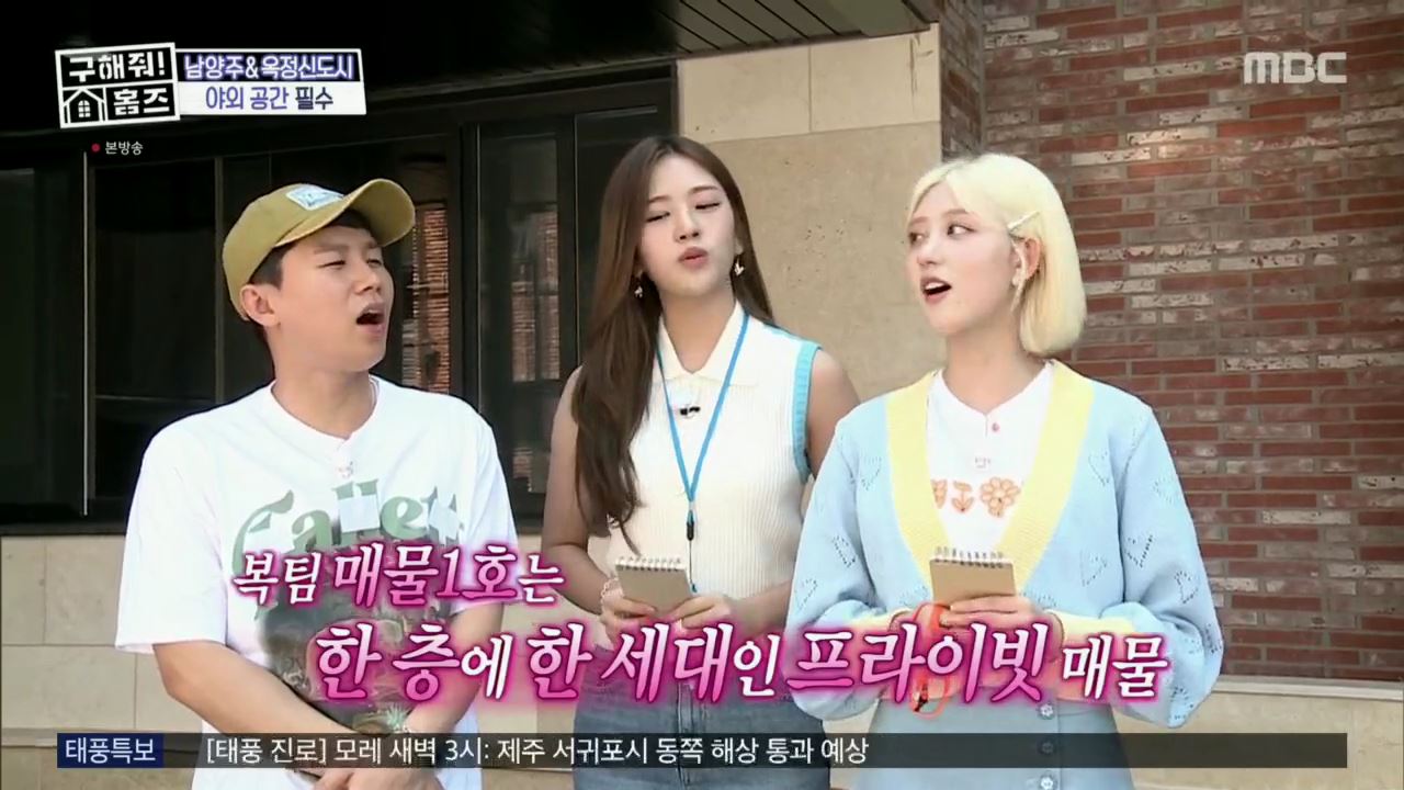 구해줘홈즈 아이브 안유진 가을 남양주시 별내동 적벽 다이브 하우스 매물 가격 및 구조 인테리어 리모델링 최종선택 소개