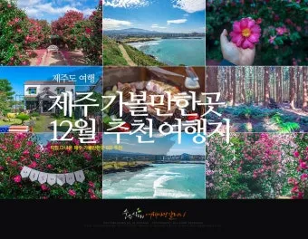 제주 가볼만한곳 맛집 카페 추천 겨울 현지인 코스_48