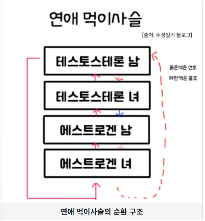 연애먹이사슬
