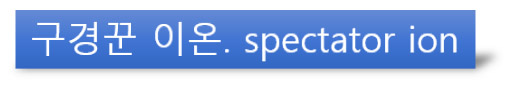 구경꾼 이온, spectator ion