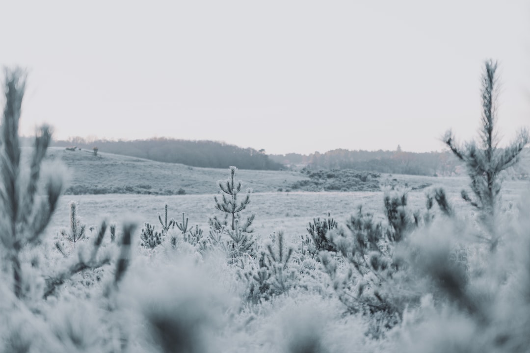 Frostbite.