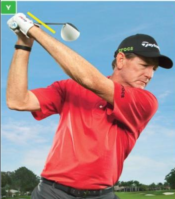 골프 백스윙 탑 손목 각도