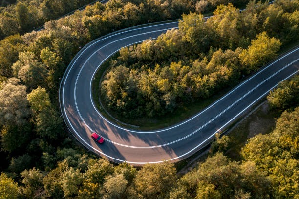 815-광복절-특사-특별사면