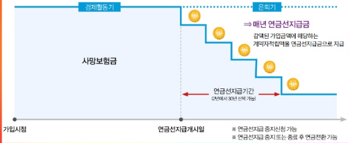 연금전환과 연금선지급 차이