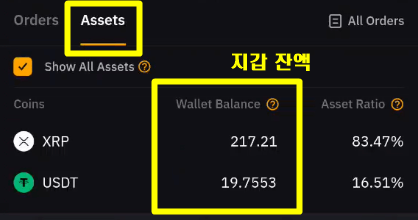 자산 탭에서 구입된 리플 수량 217.21 개를 확인