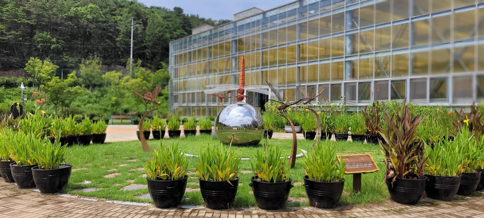 창녕우포곤충나라