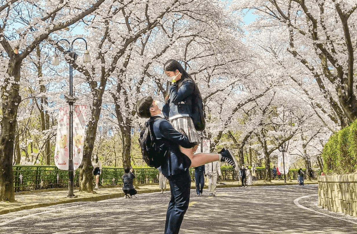 대구 이월드 벚꽃로드 벚꽃축제 오픈런 사전입장 신청 구매방법