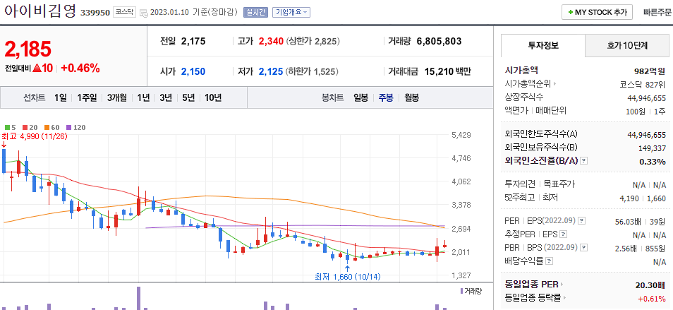 아이비김영