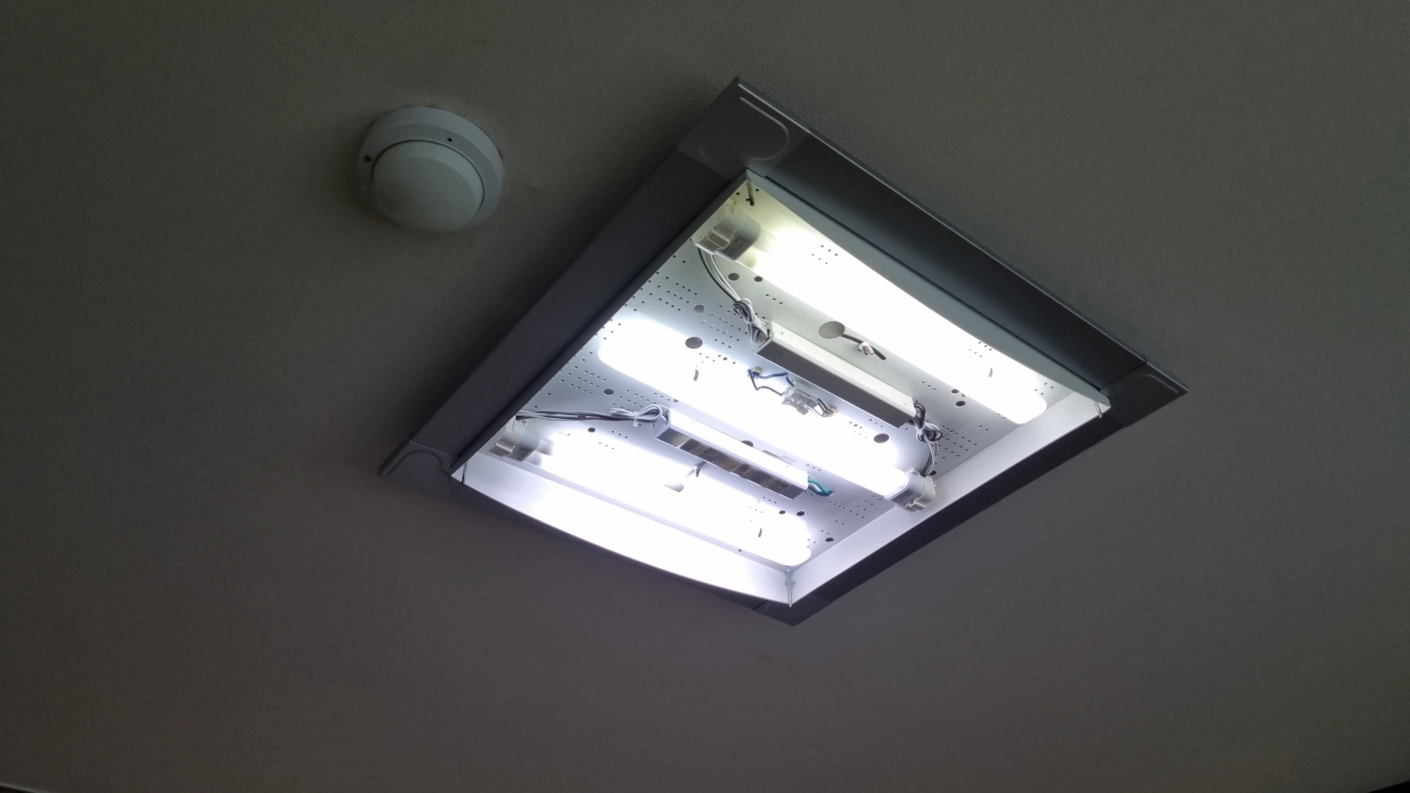 삼파장 램프 테스트 모습