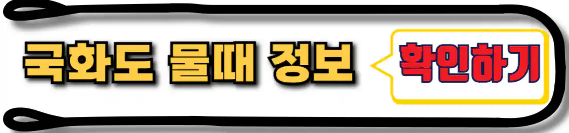 국화도 물때