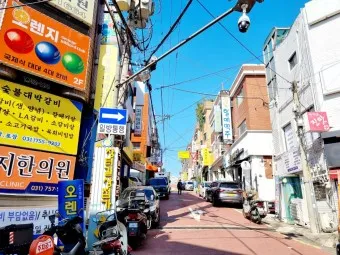 성남 가볼만한곳 베스트10 현지인 추천 필수코스_16