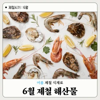 여름철 제철 해산물 추천 리스트 및 요리 활용법 안내_13