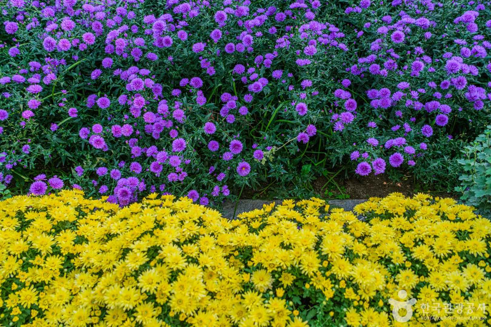 피나클랜드수목원