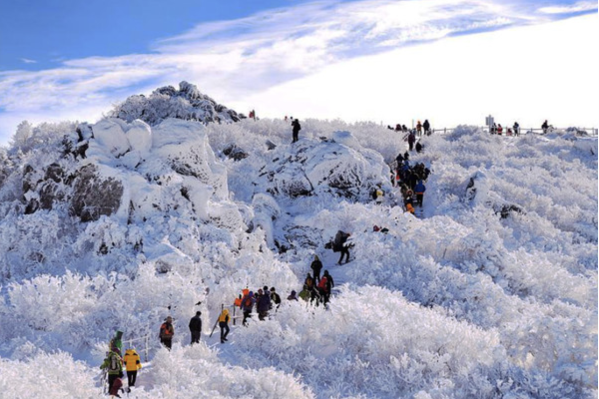 강원도 관광 지원