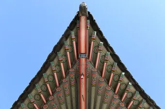 사래가 잘 걸리는 이유 사래 걸렸을때 대처법_8