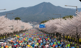 제주 마라톤 대회 일정