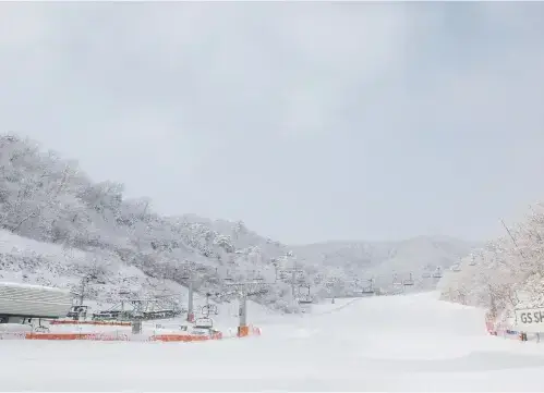 엘리시안강촌 스키장 전경