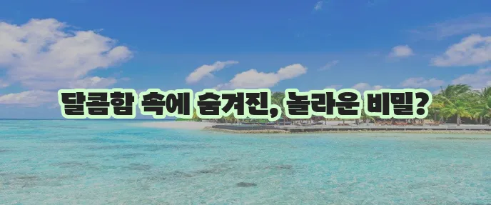 복숭아 1개 칼로리와 다이어트 효과 알아보기, 정말 놀랍습니다!