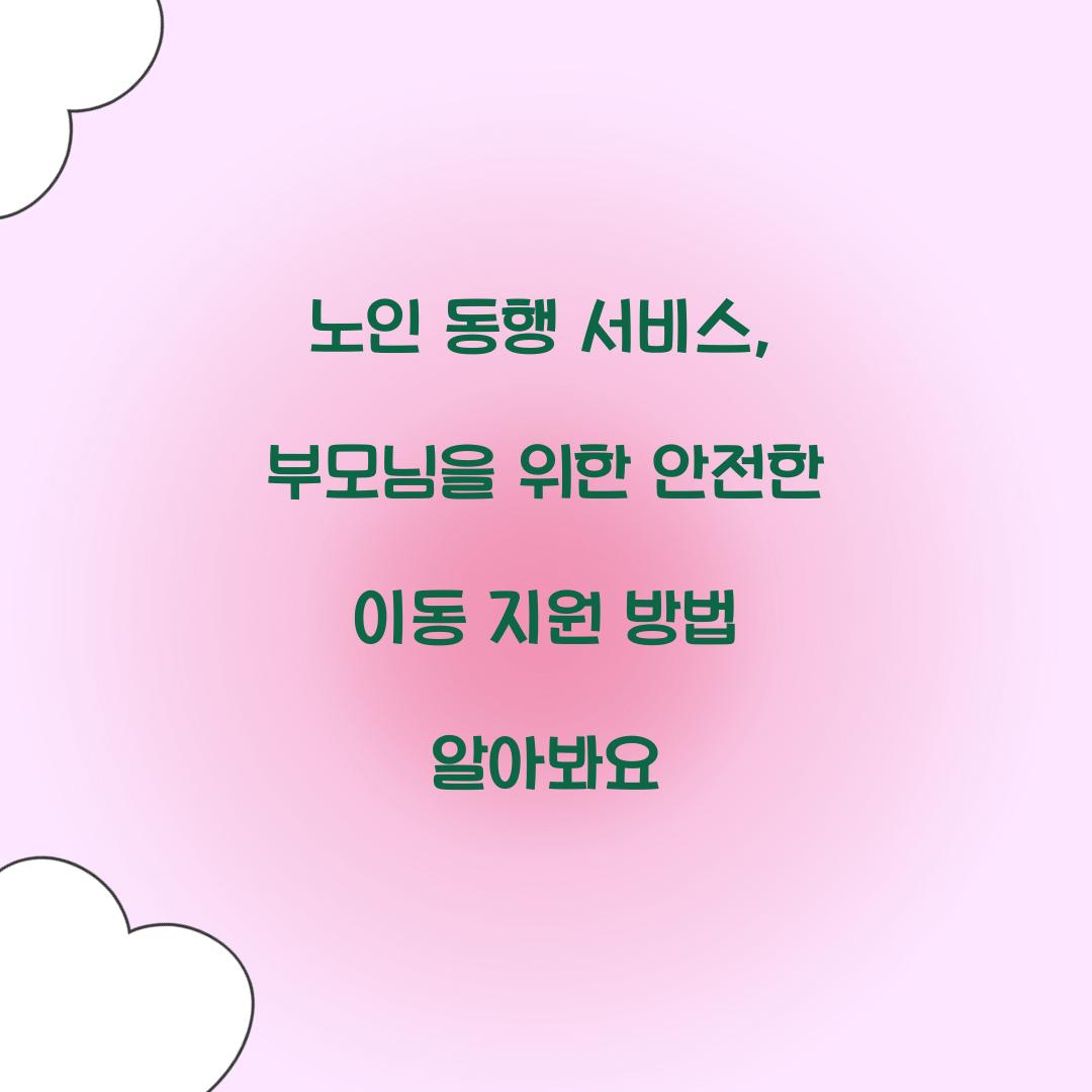 노인 동행 서비스