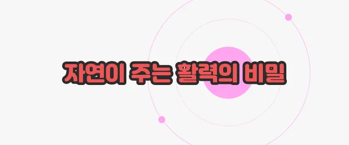 가시오가피 효능 이보다 자세히 설명할순없다