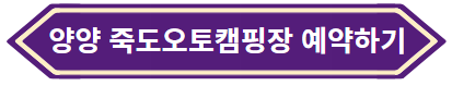 양양 죽도오토캠핑장 예약하기