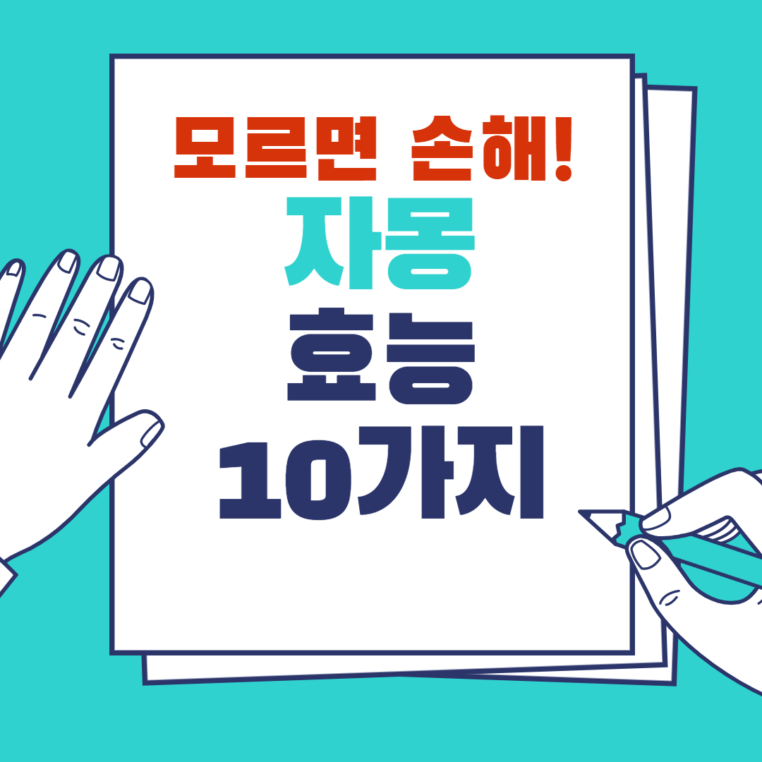 자몽효능