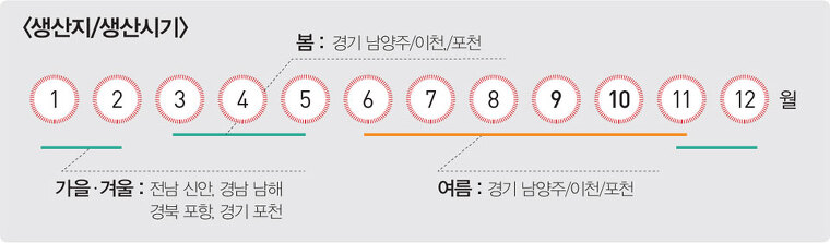 시금치 구입 시기에 따른 주 생산지