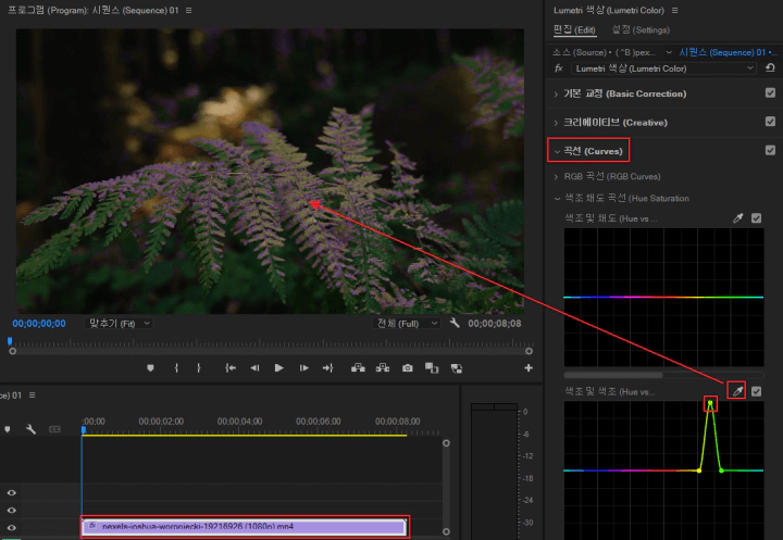 색조-및-색조-적용
