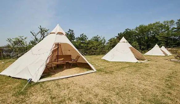 카페 아누반