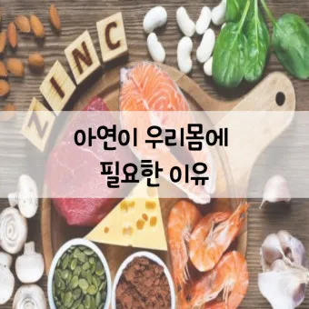 아연 효능과 부족 증상 복용법 부작용 음식 권장량 총정리_13