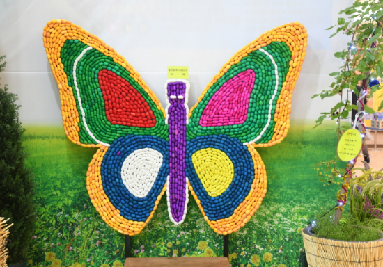 2023 함평나비축제