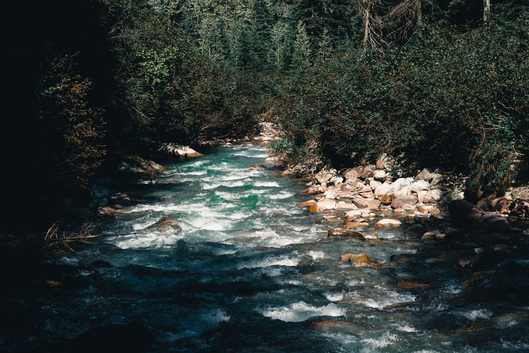 당진천 범람 원인과 피해 상황 총정리