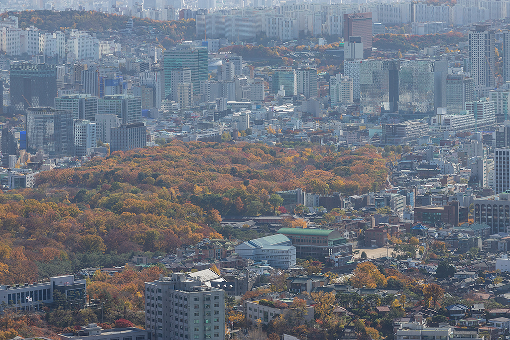 한양도성길
가을풍경
가을단풍
백악구간
서울여행
서울풍경
서울성곽길
청운대
말바위
숙정문