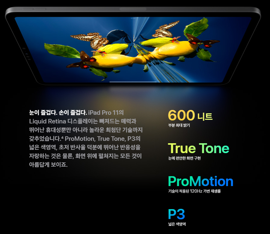 아이패드프로-12.9-6세대