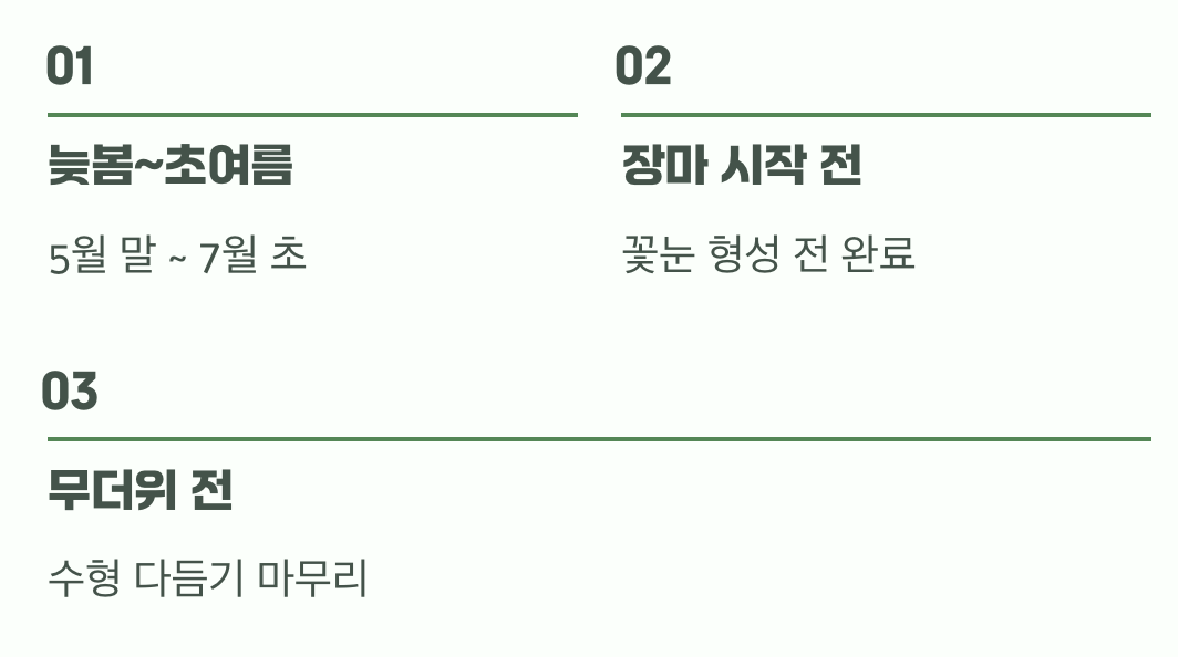 2. 마법의 타이밍, 언제 잘라야 할까?
