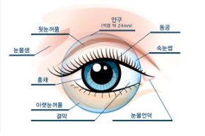 비문증 치료방법