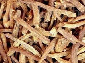 간에 좋은 한약재