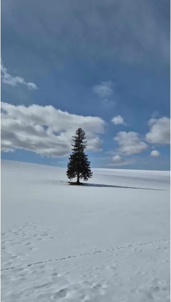 7월 8월 북해도 여름 날씨 홋카이도 삿포로 여행 최적기 성수기 옷차림 완벽 가이드_22