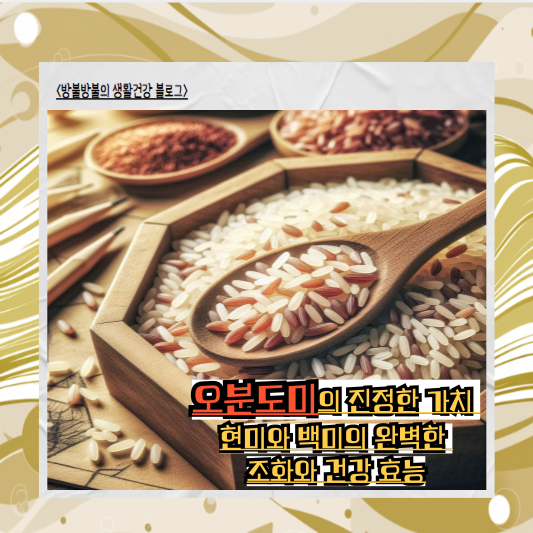 오분도미의 진정한 가치: 현미와 백미의 완벽한 조화와 건강 효능