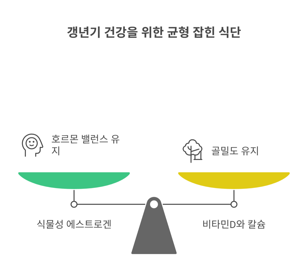 갱년기에 도움이 되는 음식과 영양소