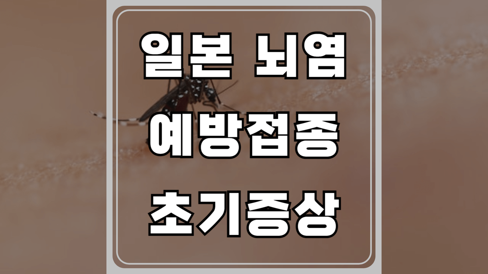 일본 뇌염 예방접종 초기증상