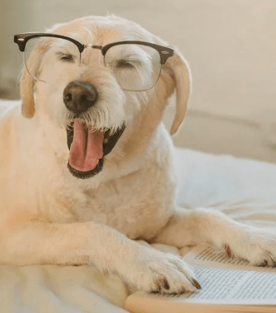 책을 많이 읽는 사람에게 도움되는 눈 건강에 좋은 과일5가지