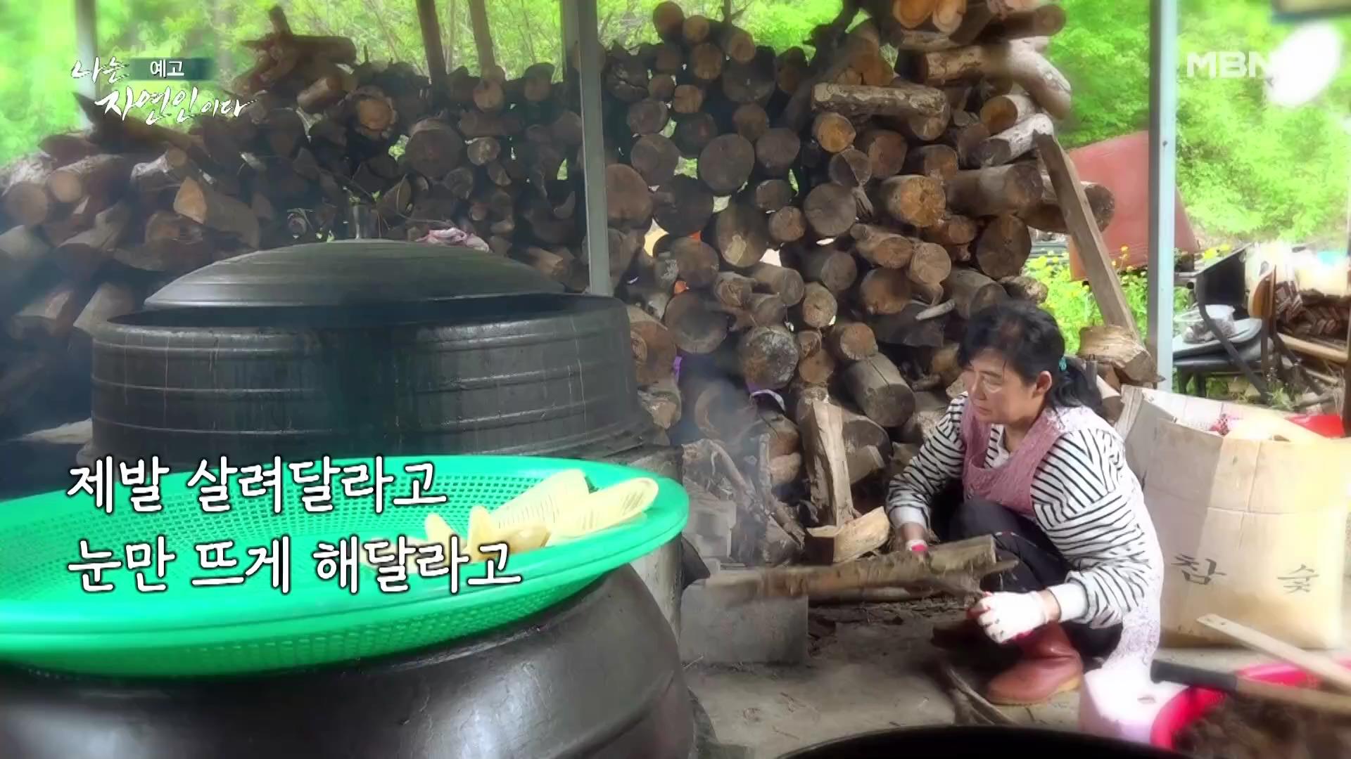 나는 자연인이다 남편 뇌출혈 병간호 산골 의녀 윤장금 마운틴 허니 치킨 당신과 함께였다면 자연인 윤부연 소개 및 윤택 출연 555회 다시보기