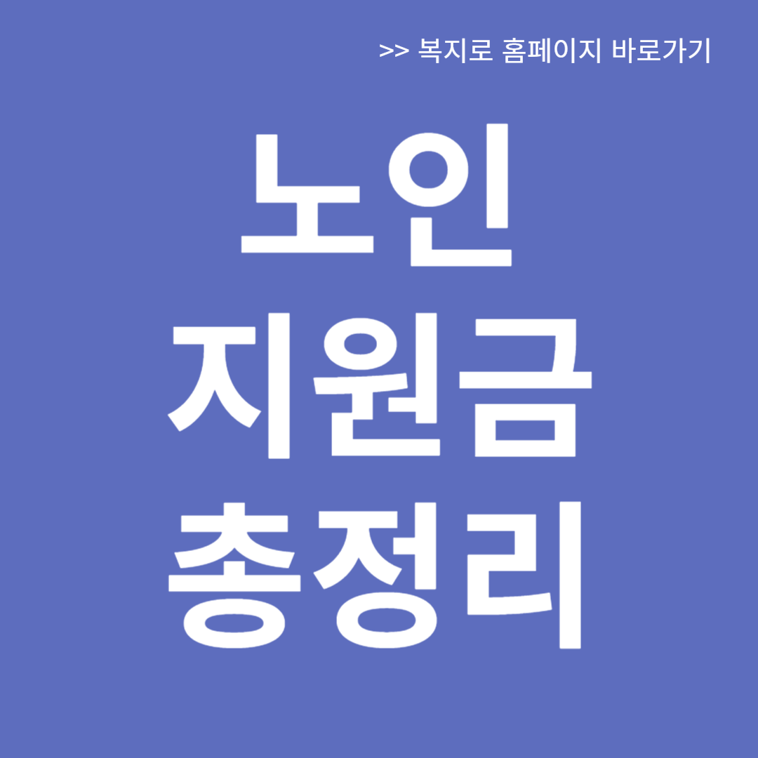 노인 지원금