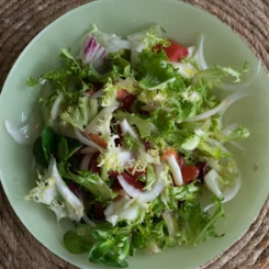 치커리 효능 부작용 뿌리 가루 고르는법 칼로리