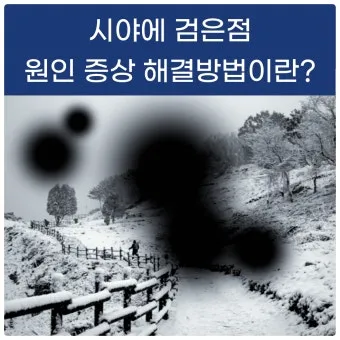 시야에 검은점 시야에 까만점이 보일때 원인과 대처법_4