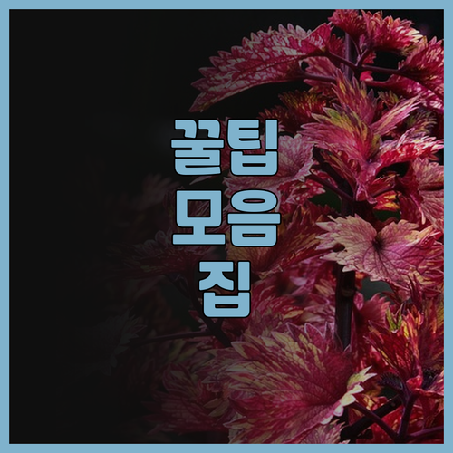 인터컨티넨탈 발리 사누르 리조트 IH