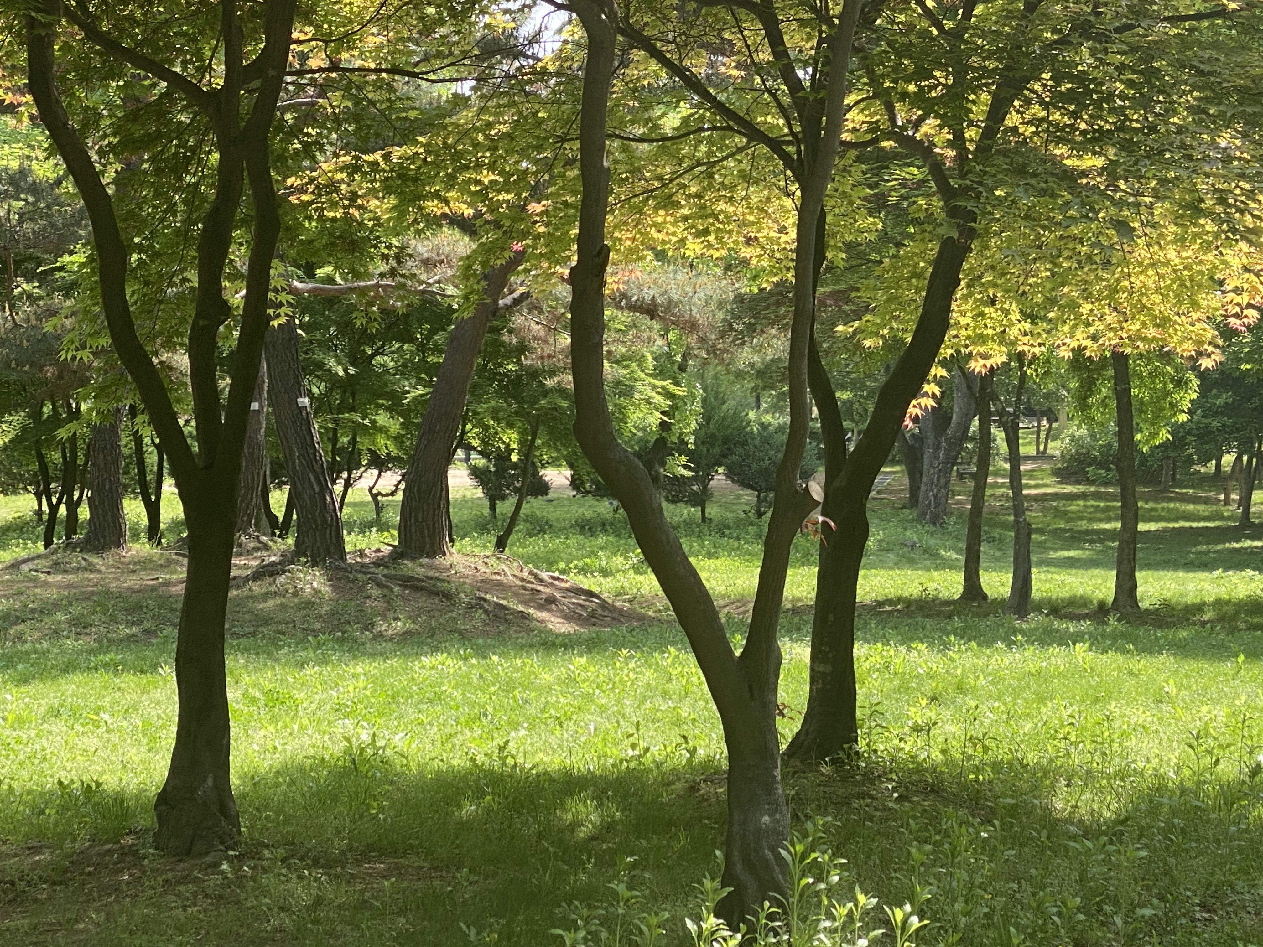 Alt 속성 문제 해결 설명 이미지