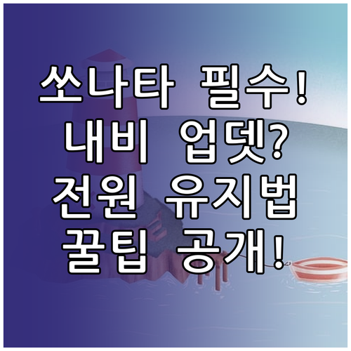 쏘나타 내비게이션 업데이트 전원 유지..